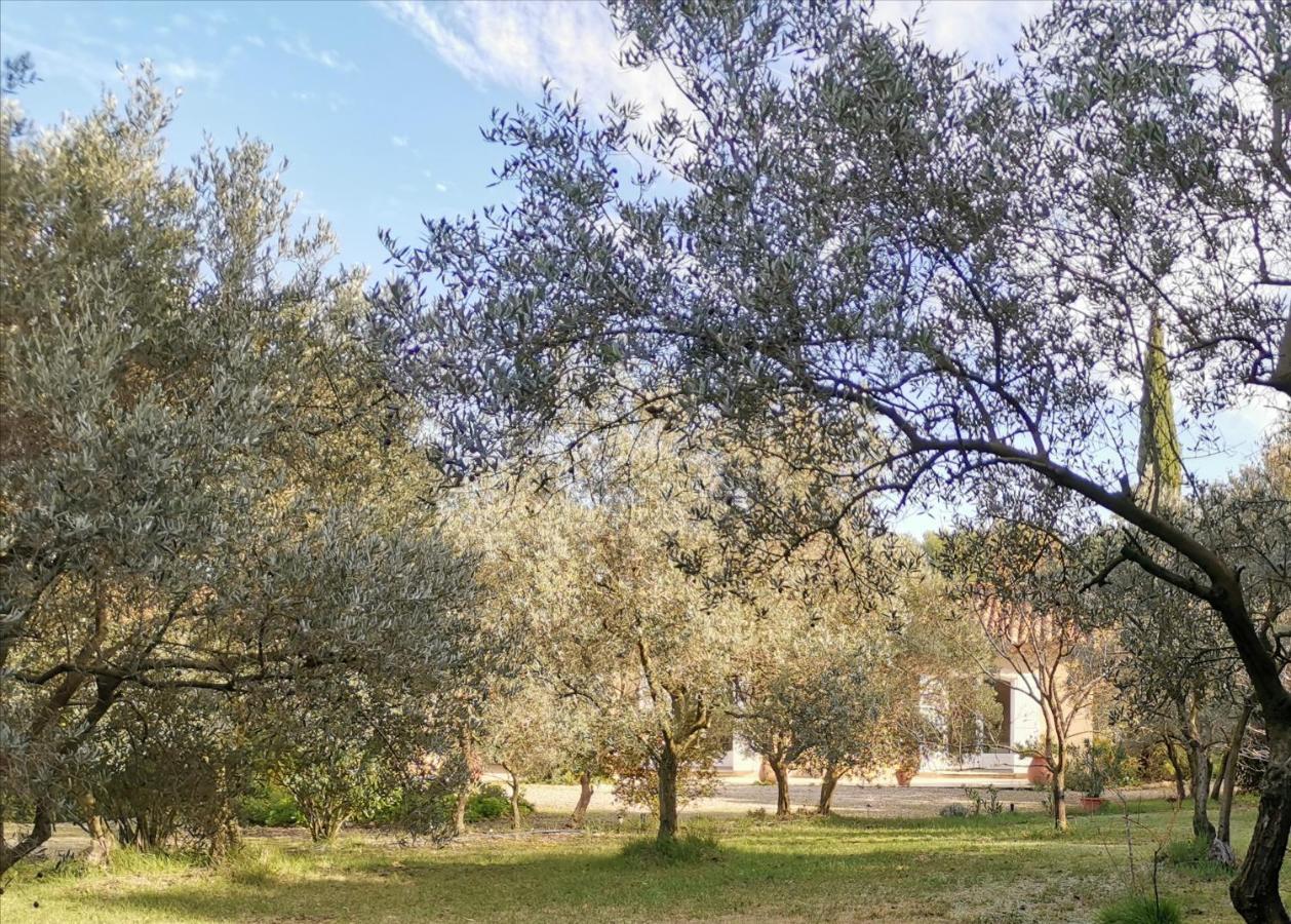 Mas Des Oursons - Chambres D'Hotes Arles Exterior foto